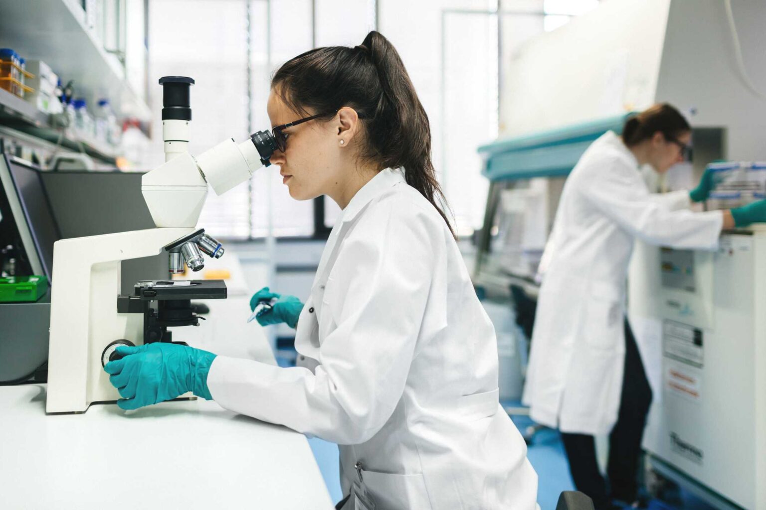 Engenharia biomédica: entenda sua importância